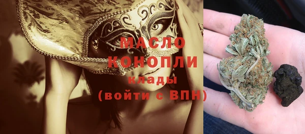 дмт Богданович