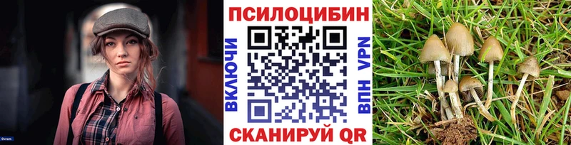 Галлюциногенные грибы Psilocybine cubensis  Вилюйск 